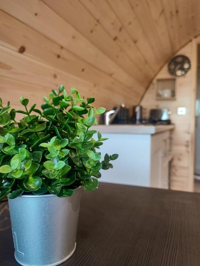 Haven Pod Easkey Sligo Exterior foto